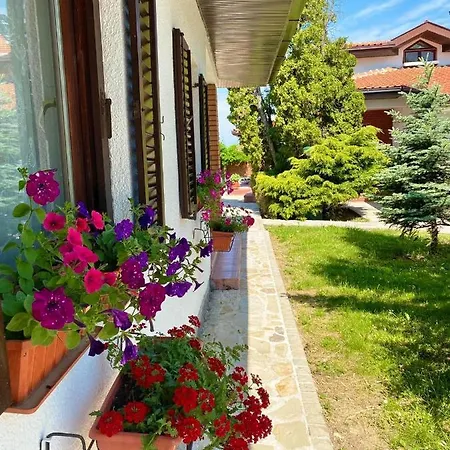Villa Skupljen Resort: Enjoy The Freedom!